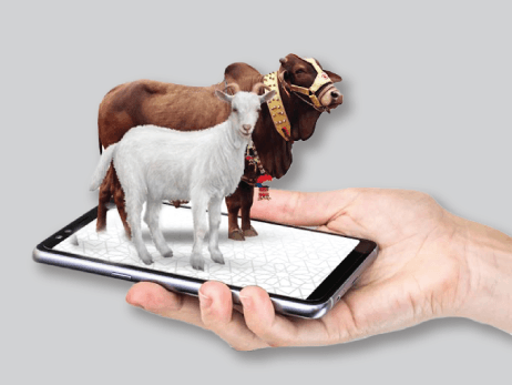 Goat and cow donation