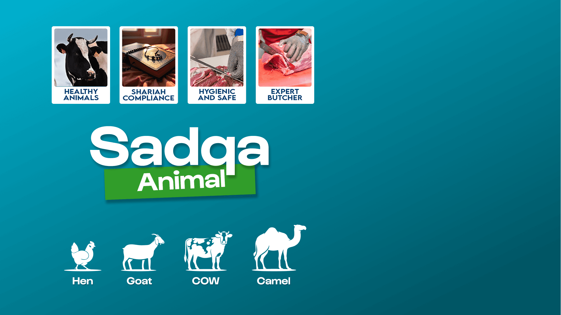 Sadqa animal cover
